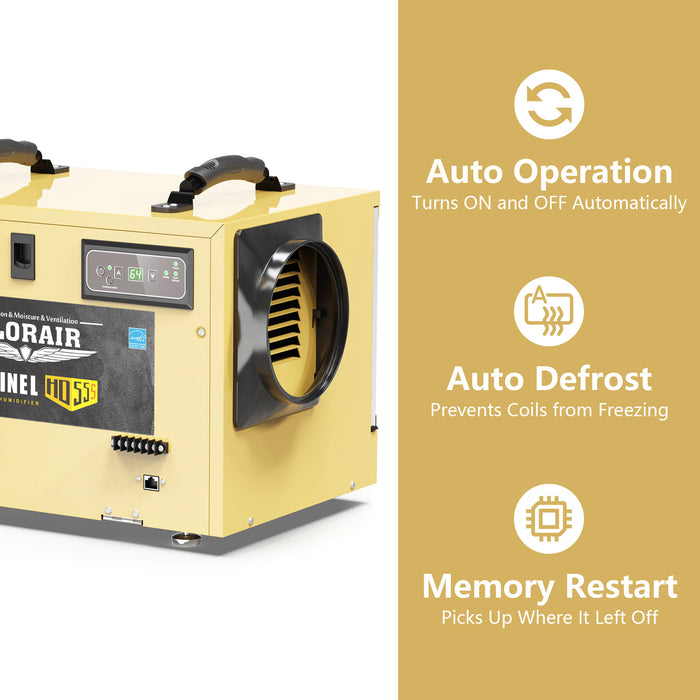 AlorAir Sentinel Conventional Dehumidifier (in Gold) HD55S