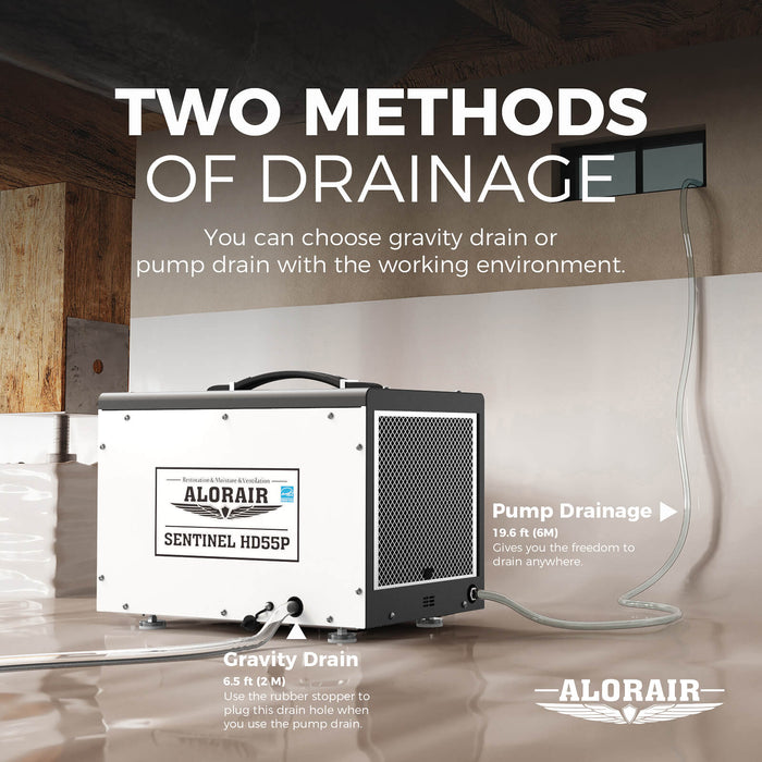 AlorAir Sentinel Household Dehumidifier HD55P