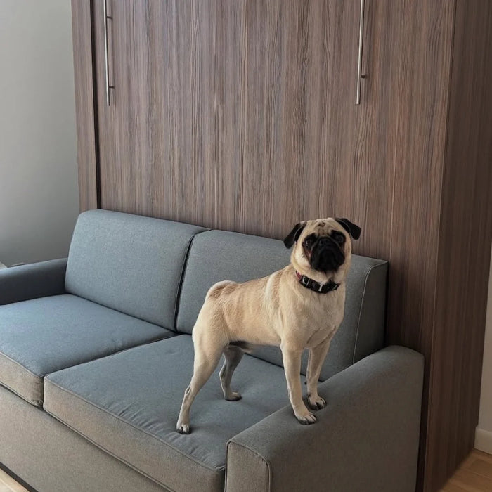 Queen Size Murphy Bed with Couch | Inovabed