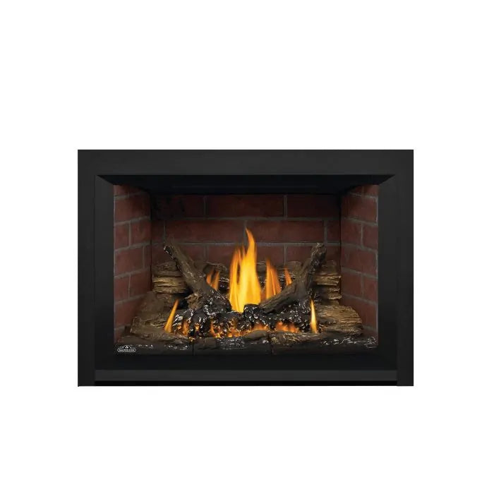 Napoleon 29" Oakville 3 Direct Vent Gas Fireplace Insert GDI3NE-1