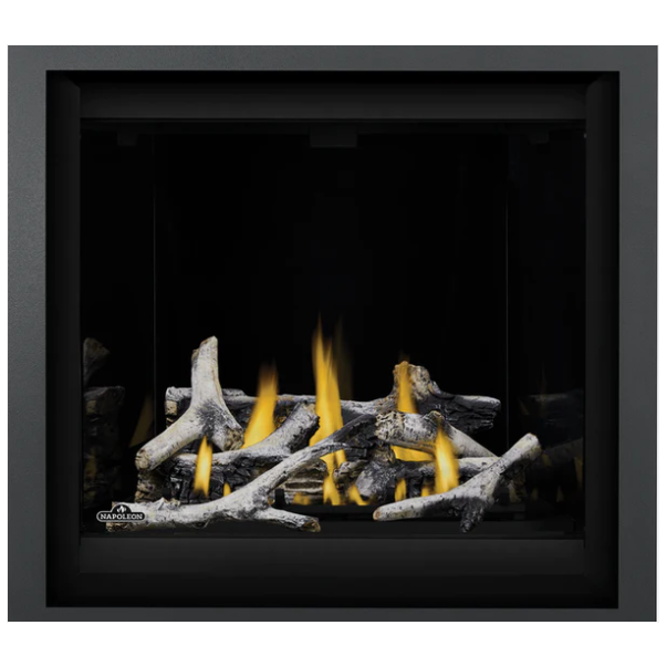 Napoleon 42'' Altitude X  Direct Vent Fireplace