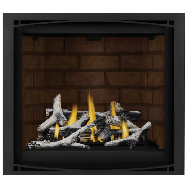 Napoleon 42'' Altitude X  Direct Vent Fireplace