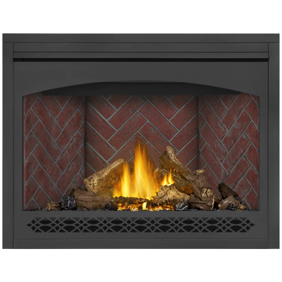Napoleon Ascent 46 Direct Vent Electronic Ignition Natural Gas Fireplace - B46NTRE