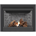 Napoleon Ascent™ 42 Direct Vent Millivolt Ignition Gas Fireplace - B42NTR-WestminsterStandard Elegant Home USA