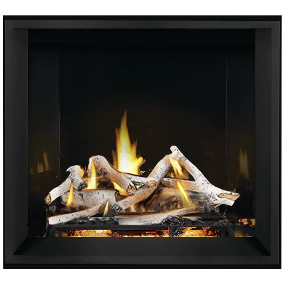 Napoleon Elevation™ X 36 Direct Vent Fireplace, Natural Gas, Electronic Ignition EX36NTEL