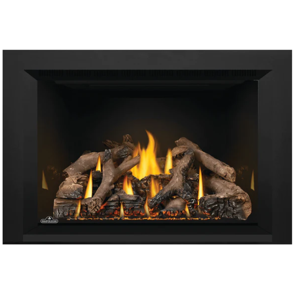 Napoleon Oakville™ X4 Direct Vent Electronic Ignition Natural Gas Firebox Insert GDIX4N