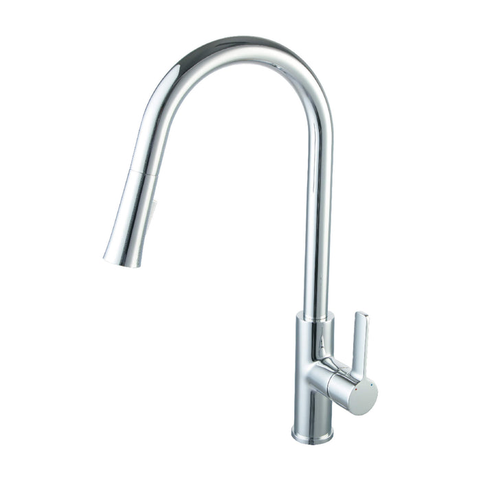Blossom Single Handle Pull Down Kitchen Faucet – F01 201  01