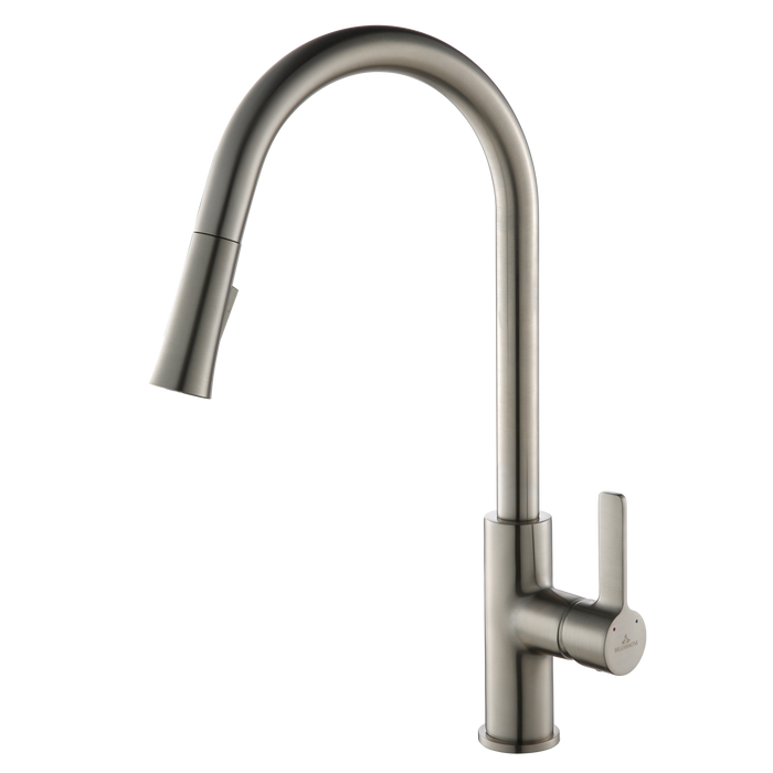 Blossom Single Handle Pull Down Kitchen Faucet – F01 201 01