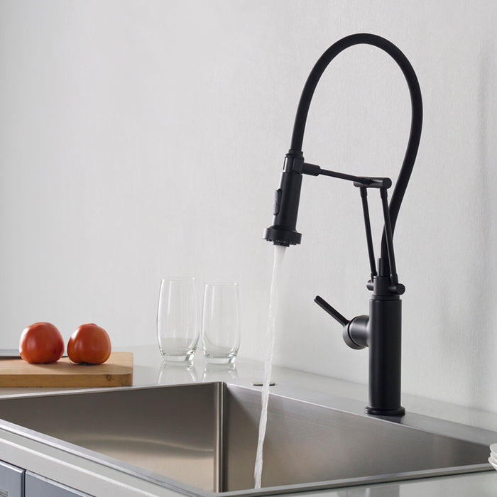 Blossom Single Handle Pull Out Kitchen Faucet – F01 208 04