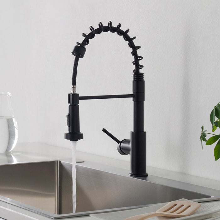 Blossom Single Handle Pull Out Kitchen Faucet – F01 205 01