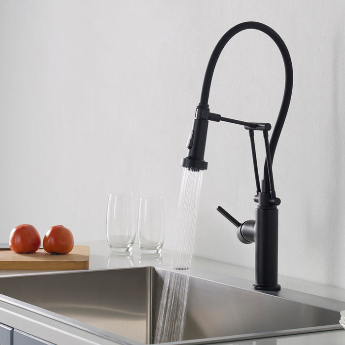 Blossom Single Handle Pull Out Kitchen Faucet – F01 208 04