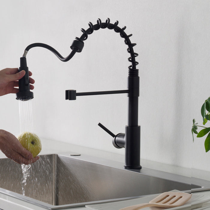 Blossom Single Handle Pull Out Kitchen Faucet – F01 205 01