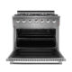 NXR 36" Stainless Steel Pro-Style Dual Fuel Range with 5.5 cu.ft. Convection Oven SCD3611 - Image 2