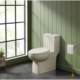 Swiss Madison Classé One-Piece Elongated Toilet Dual-Flush 1.1/1.6 gpf - SM-1T117 - Image 19