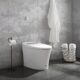 Swiss Madison Hugo Intelligent One-Piece Elongated Toilet, Touchless Dual-Flush 1.1/1.6GPF - SM-ST040