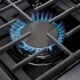 Thor Kitchen 48" Gas Range in Stainless Steel LRG4807U - Image 3