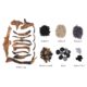 Amantii 15-Piece Driftwood Log Set with Media Kit - DESIGN-MEDIA-DRIFT-15PCE