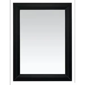 Framed Mirror
