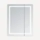 Aquadom Royale Plus 36'' × 30'' LED Lighted Medicine Cabinet