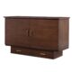 traditional-murphy-cabinet-bed
