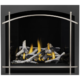Napoleon 42'' Altitude X  Direct Vent Fireplace - Image 17