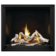 Napoleon Elevation™ X 42 Direct Vent Fireplace, Natural Gas, Electronic Ignition EX42NTEL - Image 4