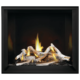 Napoleon Elevation™ X 42 Direct Vent Fireplace, Natural Gas, Electronic Ignition EX42NTEL - Image 17