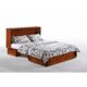 Cabinet Bed
