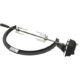 Primo Rotisserie Kit for Oval Junior 200 PGJRR